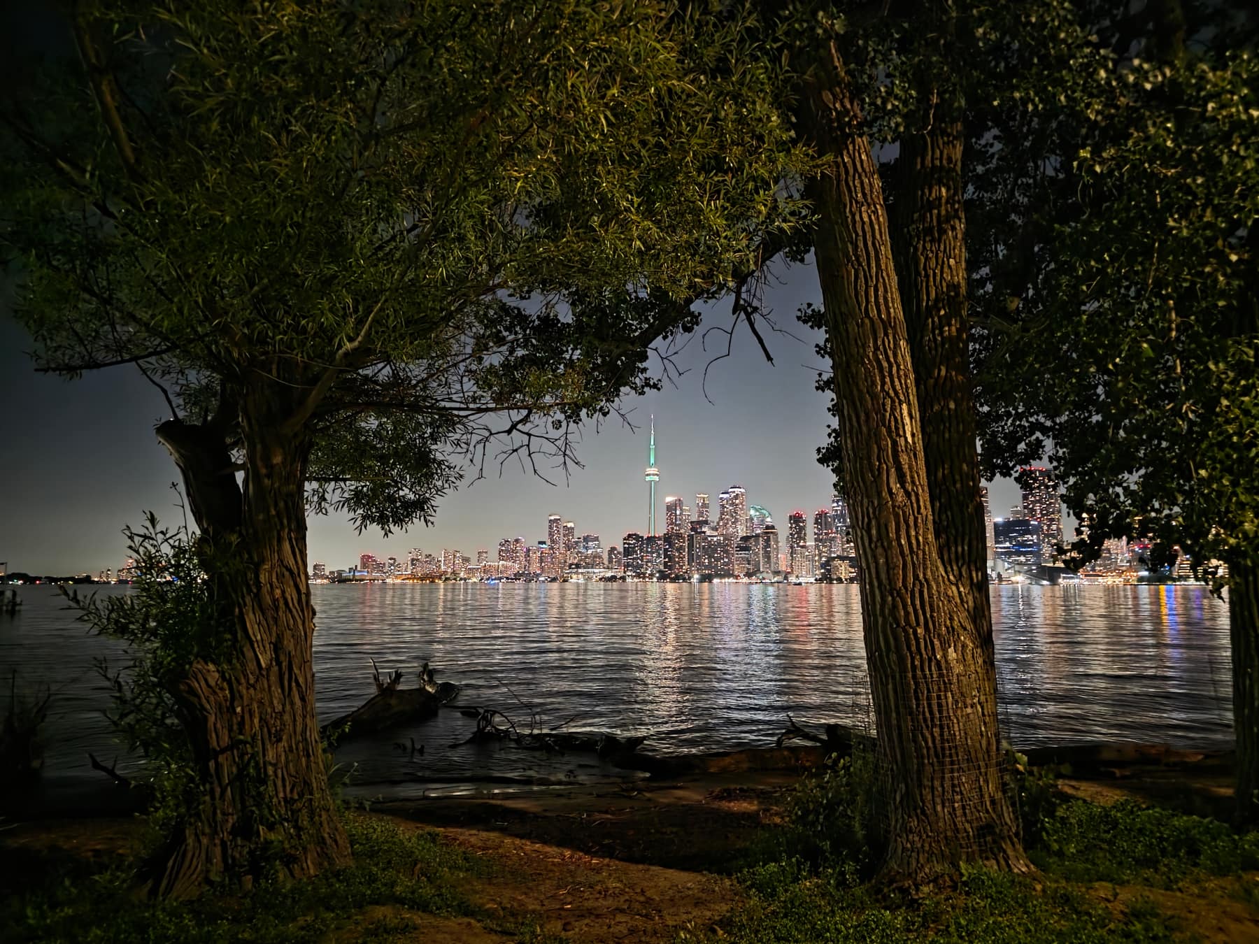 The Toronto skyline at night, framed between two trees on the Toronto Islands.