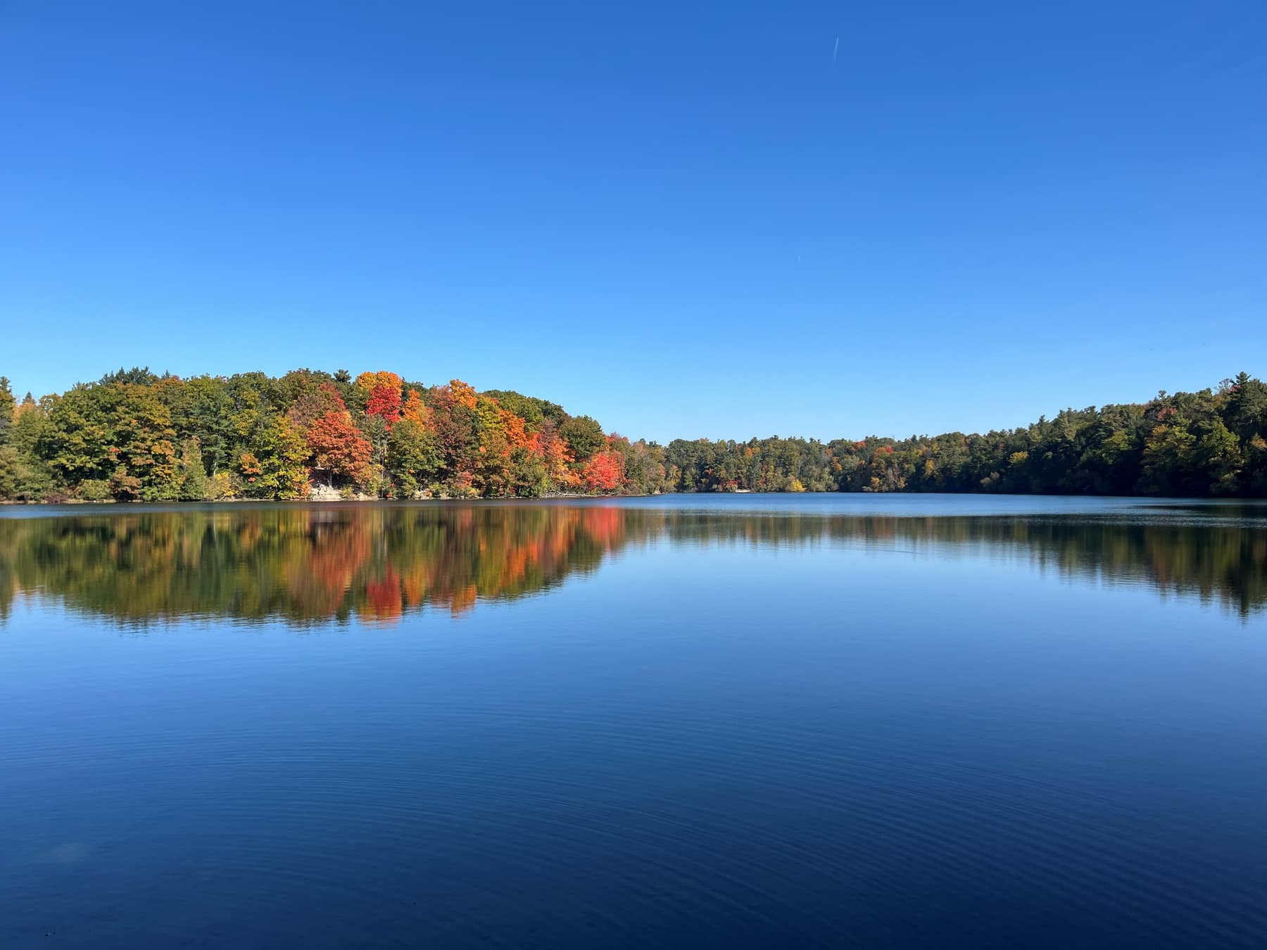 An autumn treeline mirrored in a still lake under a cloudless blue sky.